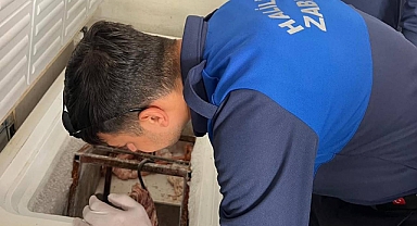 Kasaplara Yönelik Denetim! Şanlıurfa’da Kilolarca Bozulmuş Etlere Rastlandı