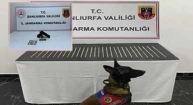 Şanlıurfa’da Narkotik Operasyonu: 4 Şüpheli Yakalandı