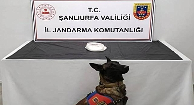 Şanlıurfa’da Uyuşturucu Operasyonu!