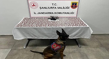 Şanlıurfa'da Uyuşturucu Ticareti Yapan Şahıslar Gözaltına Alındı!