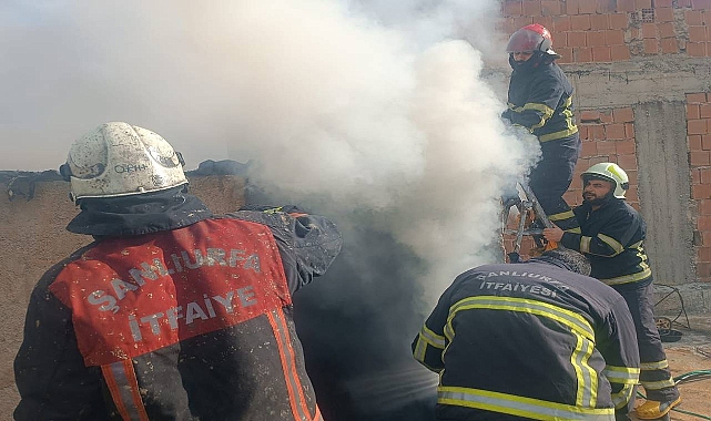 Şanlıurfa’da Yangın Paniği: İtfaiye Müdahalesiyle Söndürüldü