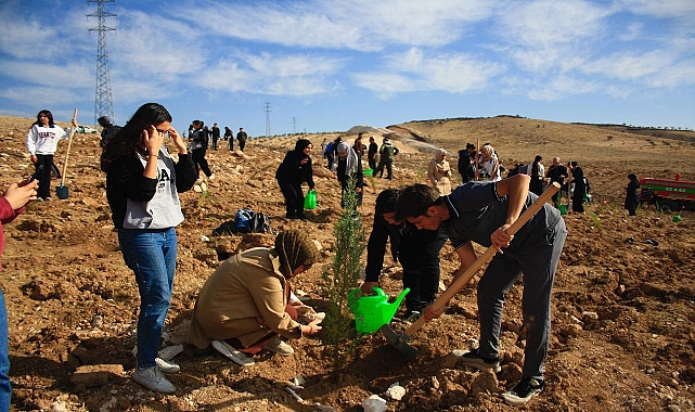 Şanlıurfalı Liseliler Avrupa Projesine Yeşil Bir Başlangıç Yaptı: 500 Fidan Toprakla Buluştu