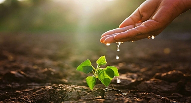 Tarım Takvimi Altüst Oldu: Güneydoğu’da Ekimler 45 Gün Gecikti