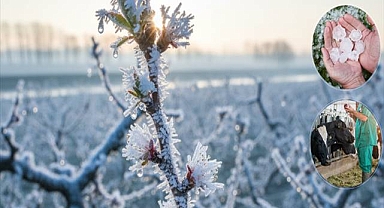 Üreticilere 11,6 Milyar Lira Hasar Tazminatı Ödendi