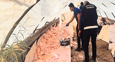 Urfa'da Kaçak ve Sağlıksız İlaç Operasyonu