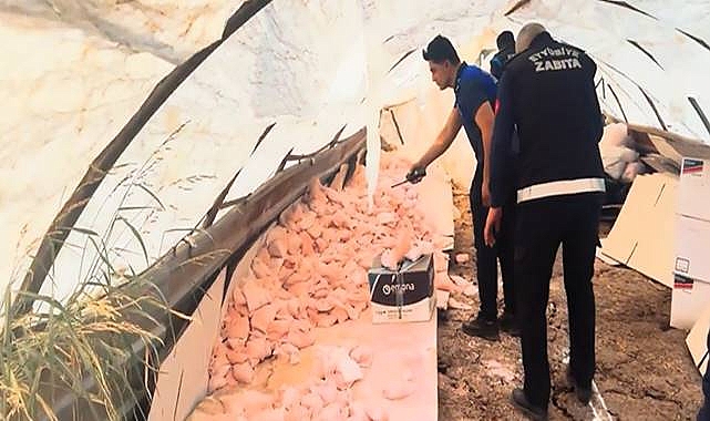 Urfa'da Kaçak ve Sağlıksız İlaç Operasyonu