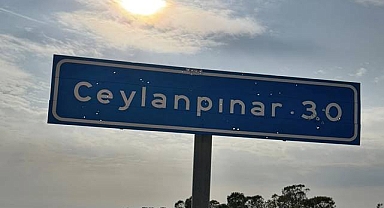 Ceylanpınar’da Trafik Tabelası Kurşunlandı: Sosyal Medyada Tepki Yağdı