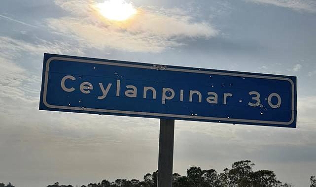 Ceylanpınar’da Trafik Tabelası Kurşunlandı: Sosyal Medyada Tepki Yağdı