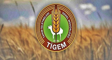 Ceylanpınar TİGEM’de Geçici Mevsimlik İşçi Sınav Sonuçları Açıklandı