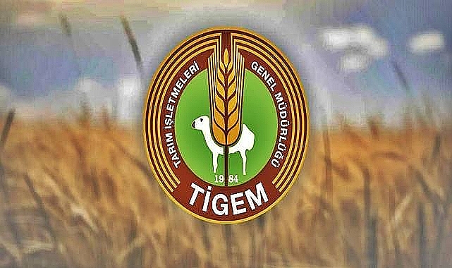 Ceylanpınar TİGEM’de Geçici Mevsimlik İşçi Sınav Sonuçları Açıklandı