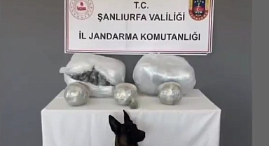 Hilvan’da Jandarmadan Uyuşturucu Operasyonu: 25 Kilo Skunk Ele Geçirildi