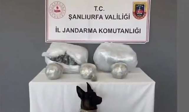Hilvan’da Jandarmadan Uyuşturucu Operasyonu: 25 Kilo Skunk Ele Geçirildi