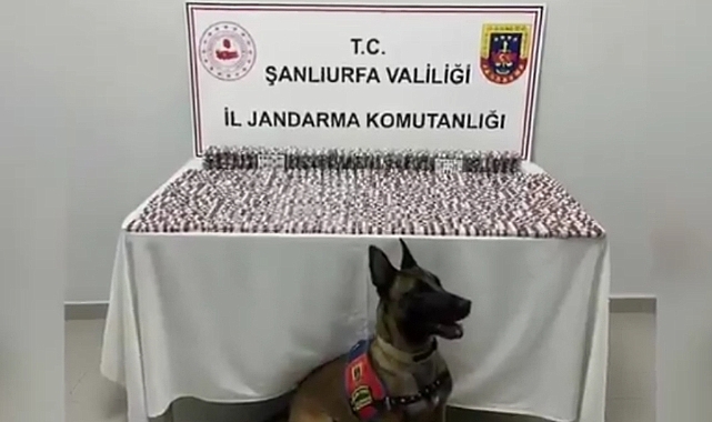 Jandarma 29 İlde Dev Operasyon Düzenledi: Aralarında Şanlıurfa da Var