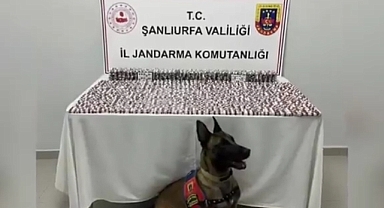 Jandarma 29 İlde Dev Operasyon Düzenledi: Aralarında Şanlıurfa da Var