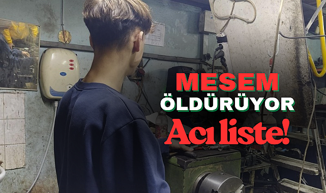 MESEM Kapsamında Çalışırken Hayatını Kaybeden Çocuk İşçiler İçin İSİG Meclisi’nden Acı Liste