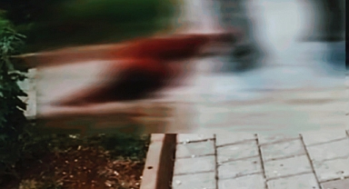 Şanlıurfa’da Bir Kadın 7. Kattan Düşerek Hayatını Kaybetti