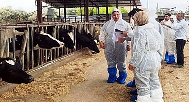 Şanlıurfa’da Hayvan Sağlığı Eğitimleri Düzenlendi