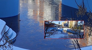 Şanlıurfa'da Soğuk Hava Etkili Oldu: Yaşam Park'taki Havuzlar Buz Tuttu