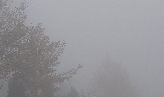 Şanlıurfa'nın Kırsalında ve Yüksek Kesimlerinde Yoğun Sis Etkili Oldu