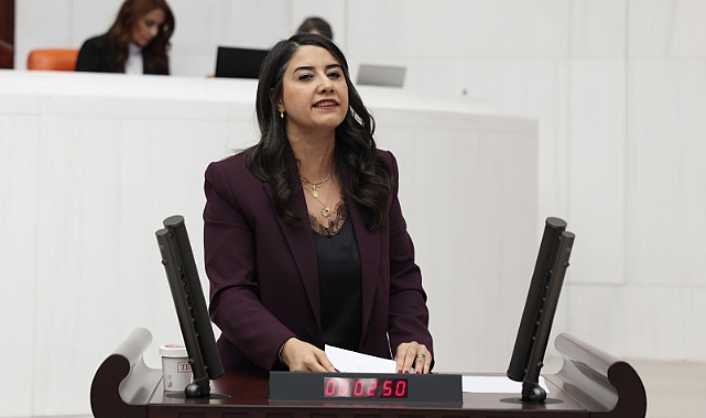 Urfa’da Bireysel Silahlanma Alarmı! Meclis Araştırması İstendi