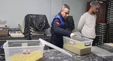 Urfa’da Gıda Denetimi: 9 İşletmeye Ceza, 2’si Mühürlendi 