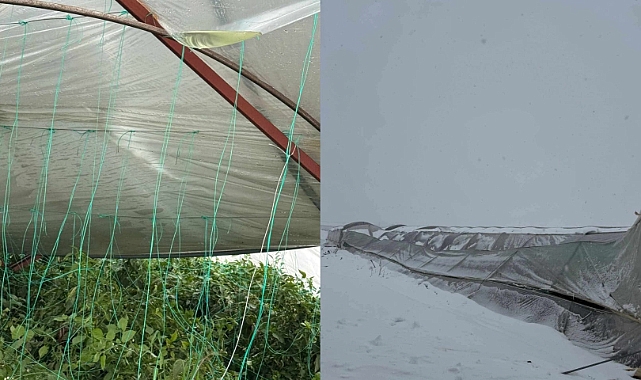 Viranşehir’de Kar Felaketi: 10 Dönümlük Biber Serası Çöktü