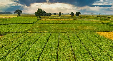 Yerel Eylem Gruplarına Büyük Destek