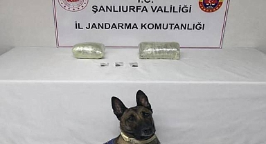 Şanlıurfa’da 2 Kilogram Esrar Ele Geçirildi