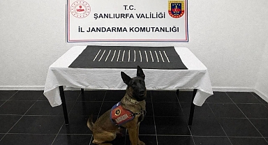 Şanlıurfa’da Uyuşturucu Operasyonu!