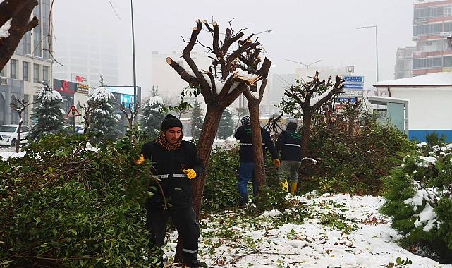 Şanlıurfa'da Vatandaşların Can Güvenliği Ön Planda