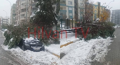 Şanlıurfa’da Yoğun Kar Yağışı Büyük Hasara Yol Açtı