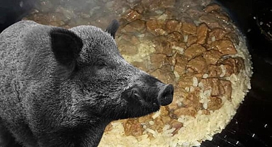 Şoke Eden İddia: Binlerce Kişiye Domuz Eti Yedirildi