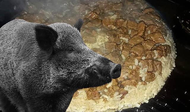 Şoke Eden İddia: Binlerce Kişiye Domuz Eti Yedirildi