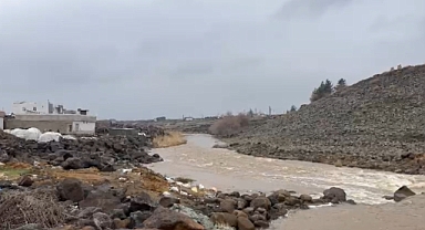 Urfa'da Curcup Deresi Yeniden Canlandı 