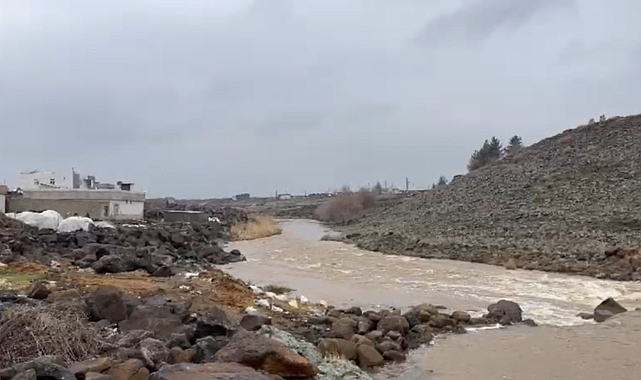 Urfa'da Curcup Deresi Yeniden Canlandı 