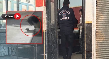 Urfa'da Ekmek Fırınında Şoke Eden Görüntüler: Zabıta Cezai İşlem Uyguladı