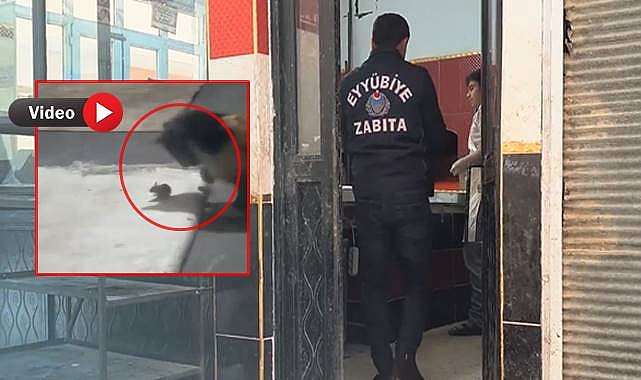 Urfa'da Ekmek Fırınında Şoke Eden Görüntüler: Zabıta Cezai İşlem Uyguladı