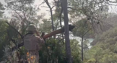 Urfa Dahil Birçok İlde Göçmen Kaçakçılığı Operasyonu: 59 Kişi Tutuklandı
