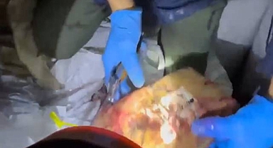 Yer Fıstığı Yüklü Konteynerden 298 Kilo Kokain Çıktı