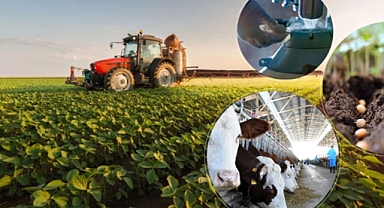 338 Milyon Liralık Tarımsal Destek Ödemesi Başladı