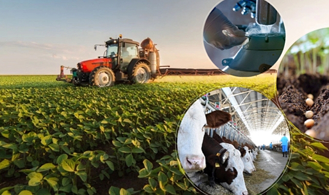 338 Milyon Liralık Tarımsal Destek Ödemesi Başladı