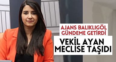 Ajans Balıklıgöl Gündeme Taşıdı, Vekil Dilan Kunt Ayan Meclise Sordu