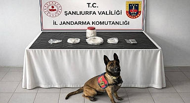 Birecik’te Uyuşturucu Operasyonu: 1 Kişi Gözaltında