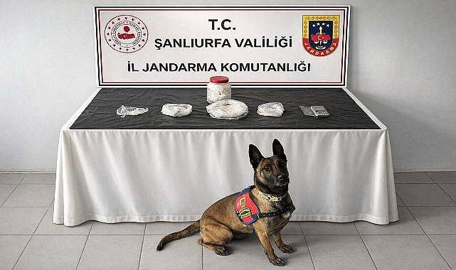 Birecik’te Uyuşturucu Operasyonu: 1 Kişi Gözaltında