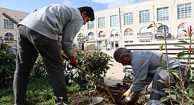 Büyükşehir, Ağaç Ve Bitki Dikimlerini Hızlandırdı