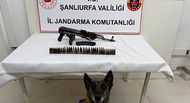 Jandarmadan Suruç’ta Silah Operasyonu!