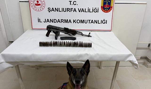 Jandarmadan Suruç’ta Silah Operasyonu!