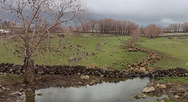 Kuraklık Yerini Berekete Bıraktı: Karahisar Çayı Yıllar Sonra Yeniden Akıyor