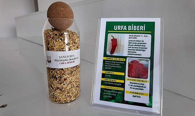 Şanlıurfa’da Ata Tohumları Çiftçilerle Buluşuyor