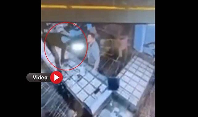 Şanlıurfa’da Kuyumcu Soygunu Güvenlik Kamerasına Yansıdı! 